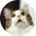 Аватарка пользователя  Mr Cat