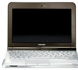 Отзыв на Ноутбук Toshiba NB200-10Z: хороший, тихий, непривычный от 8.1.2023 14:25