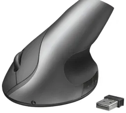 Плюс на Мышь Trust Varo Wireless Ergonomic Mouse Black USB: идеальный, верхний, слабый, единственный