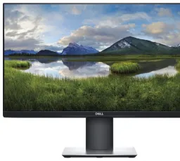 Минус на Монитор DELL P2419H: качественный, странный, чистый, встроенный