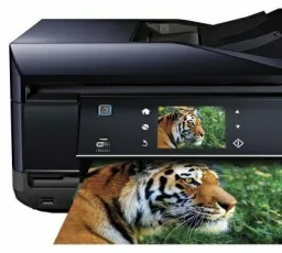 Отзыв на МФУ Epson Expression Premium XP-800: хороший, красивый, отличный, оригинальный