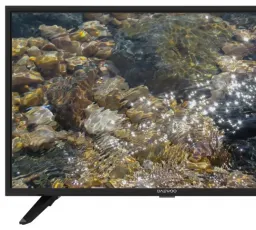 Телевизор Daewoo Electronics L32A670VTE 32" (2020), количество отзывов: 10