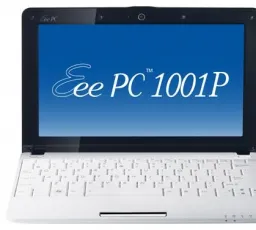 Отзыв на Ноутбук ASUS Eee PC 1001P: низкий, печатный, шероховатый, лицензионный